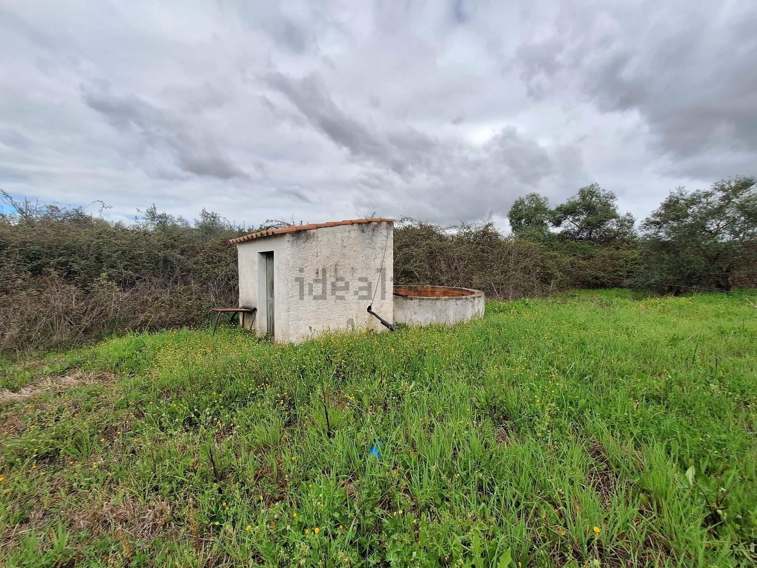 庄园出售在Vila Verde de Ficalho - 花园