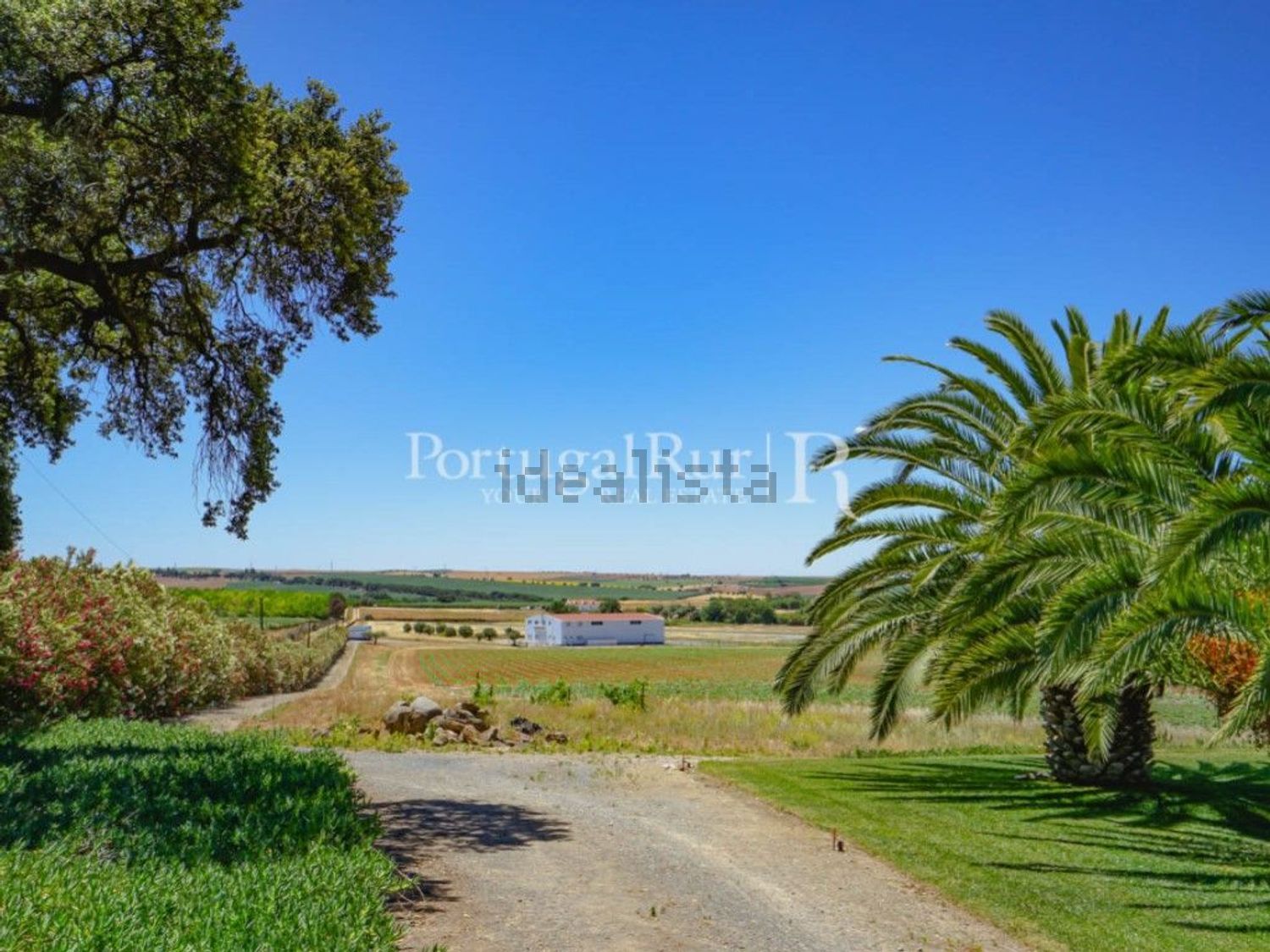 农庄出售在Ferreira do Alentejo - 照片