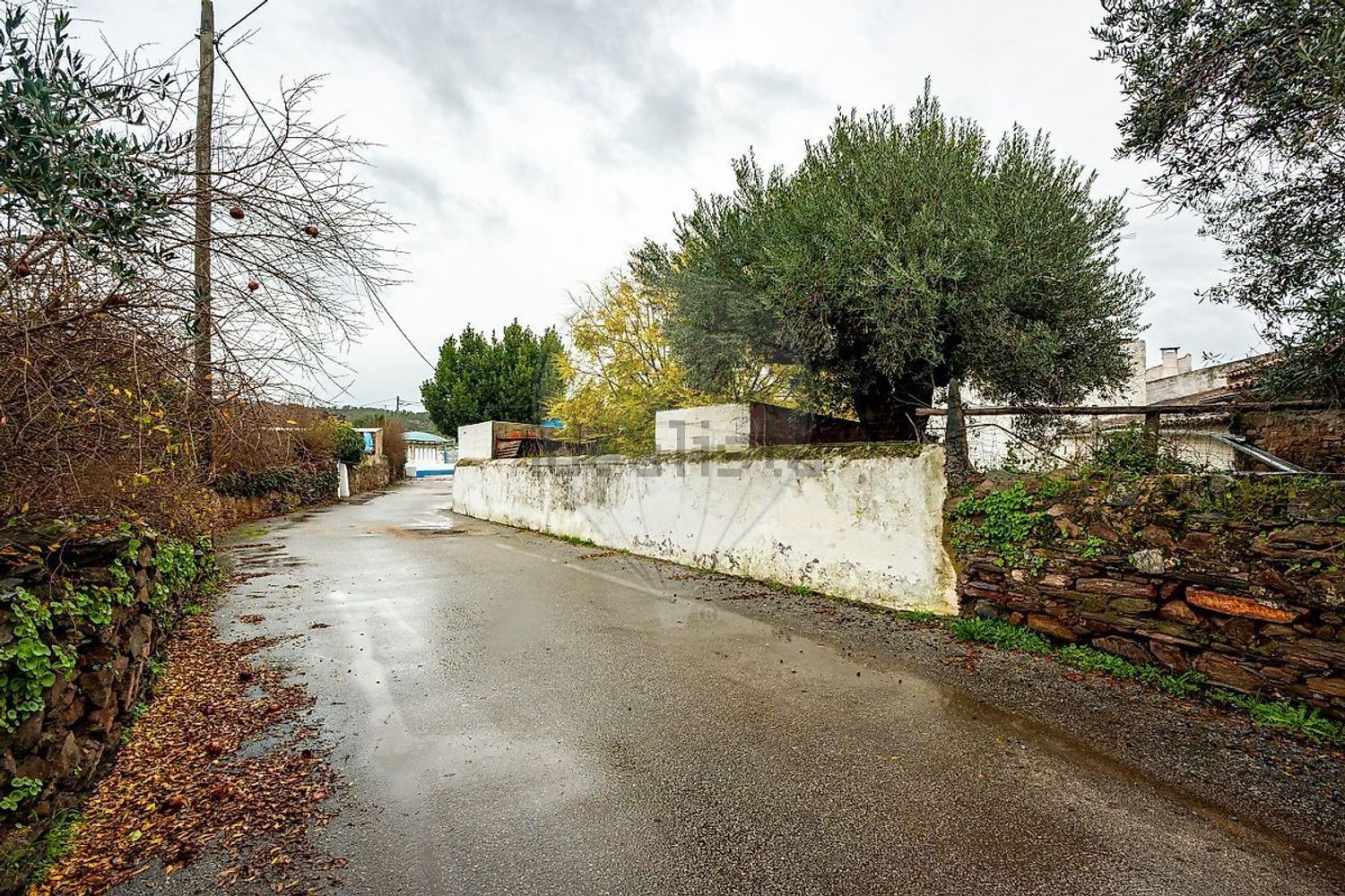 小楼房或独栋别墅出售在Monsaraz - 花园