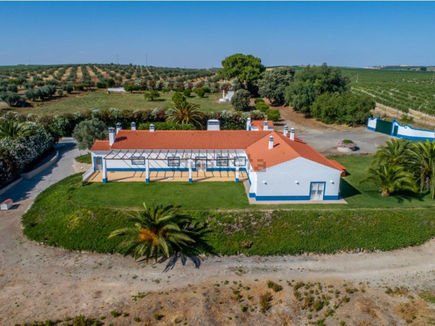 庄园出售在Ferreira do Alentejo - 游泳池