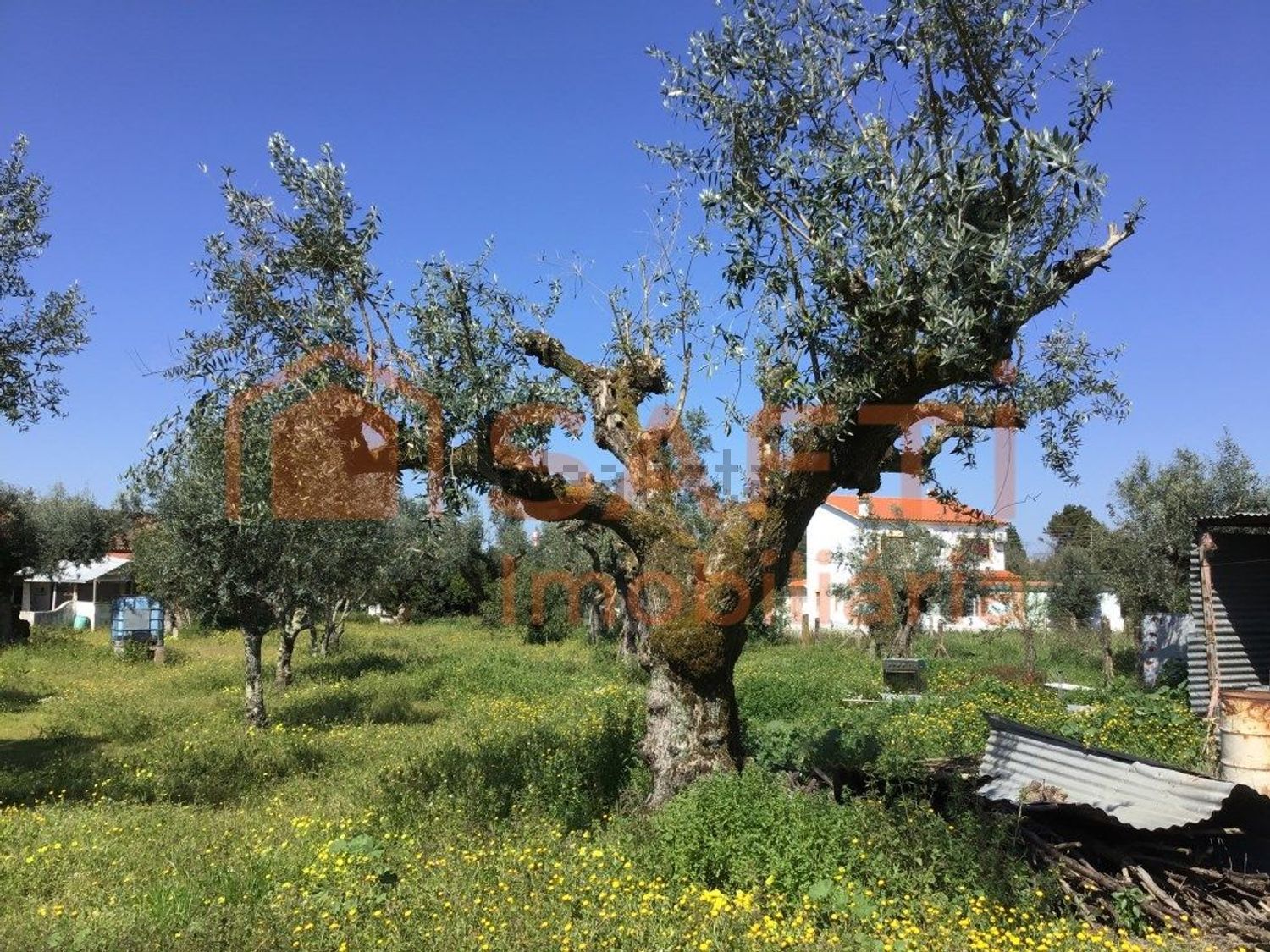 小楼房或独栋别墅出售在Beco do Gouveia, 3 - 花园