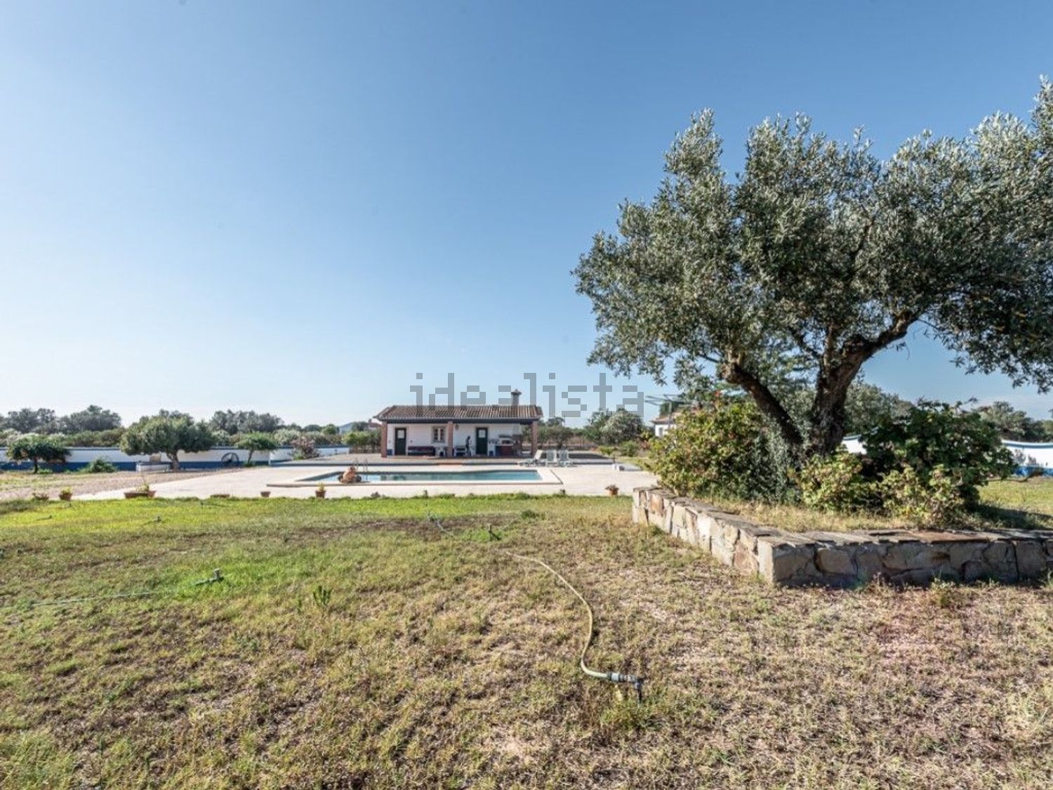庄园出售在Ferreira do Alentejo - 花园