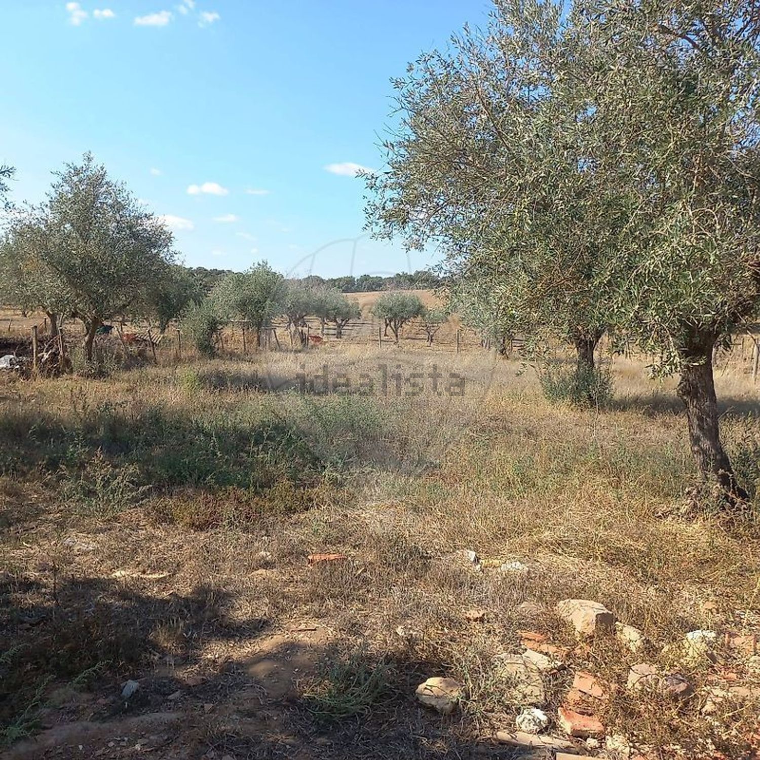 小楼房或独栋别墅出售Autoestrada do Alentejo - 花园
