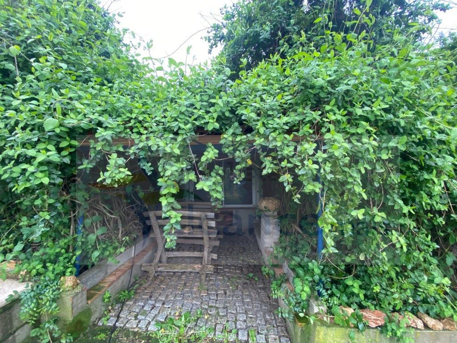 庄园出售Bc. do Carril - 花园