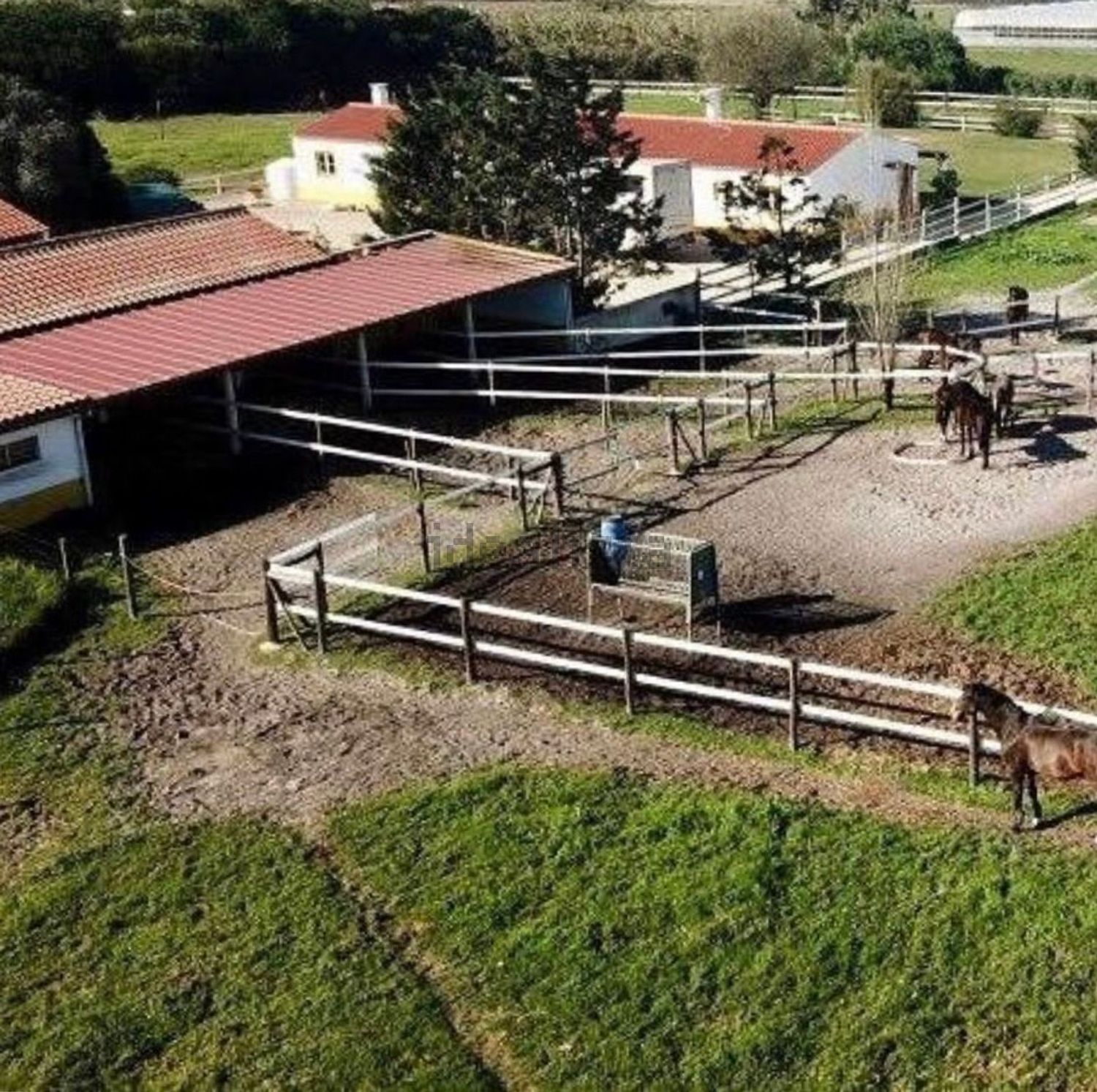 庄园出售Brejao, Portugal - 照片