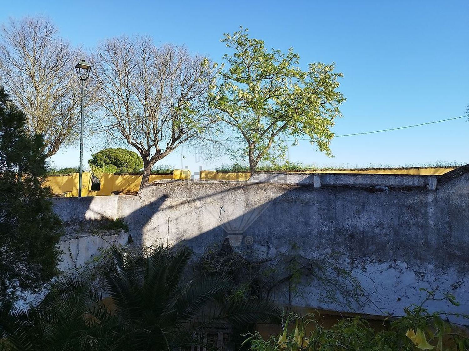 宫殿出售在Largo de São Domingues, 1 - 花园