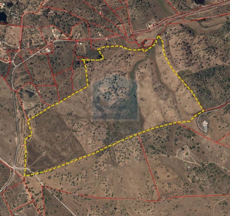 农庄出售在Ourique