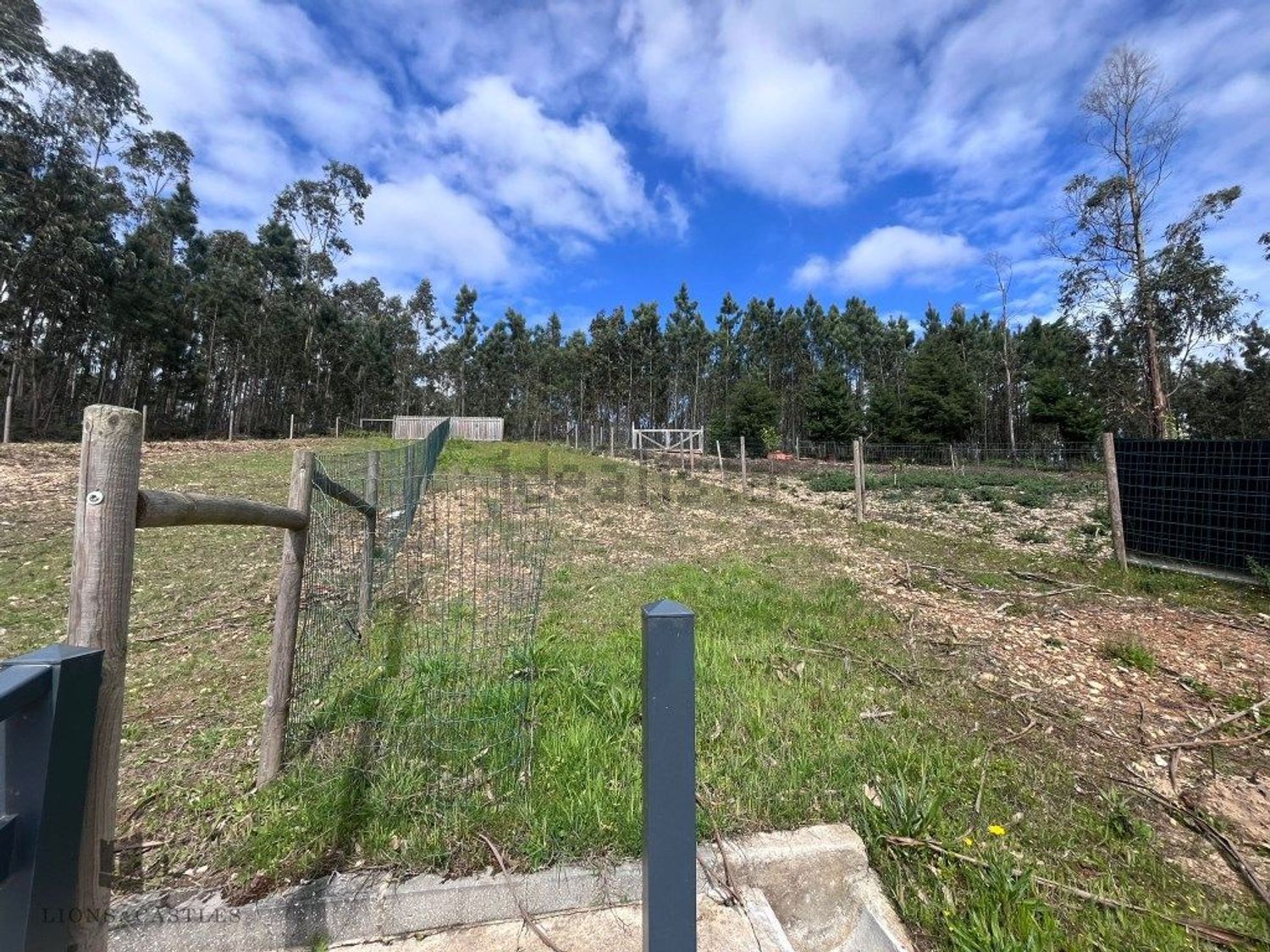 小楼房或独栋别墅出售在Rua do Isidoro - 花园