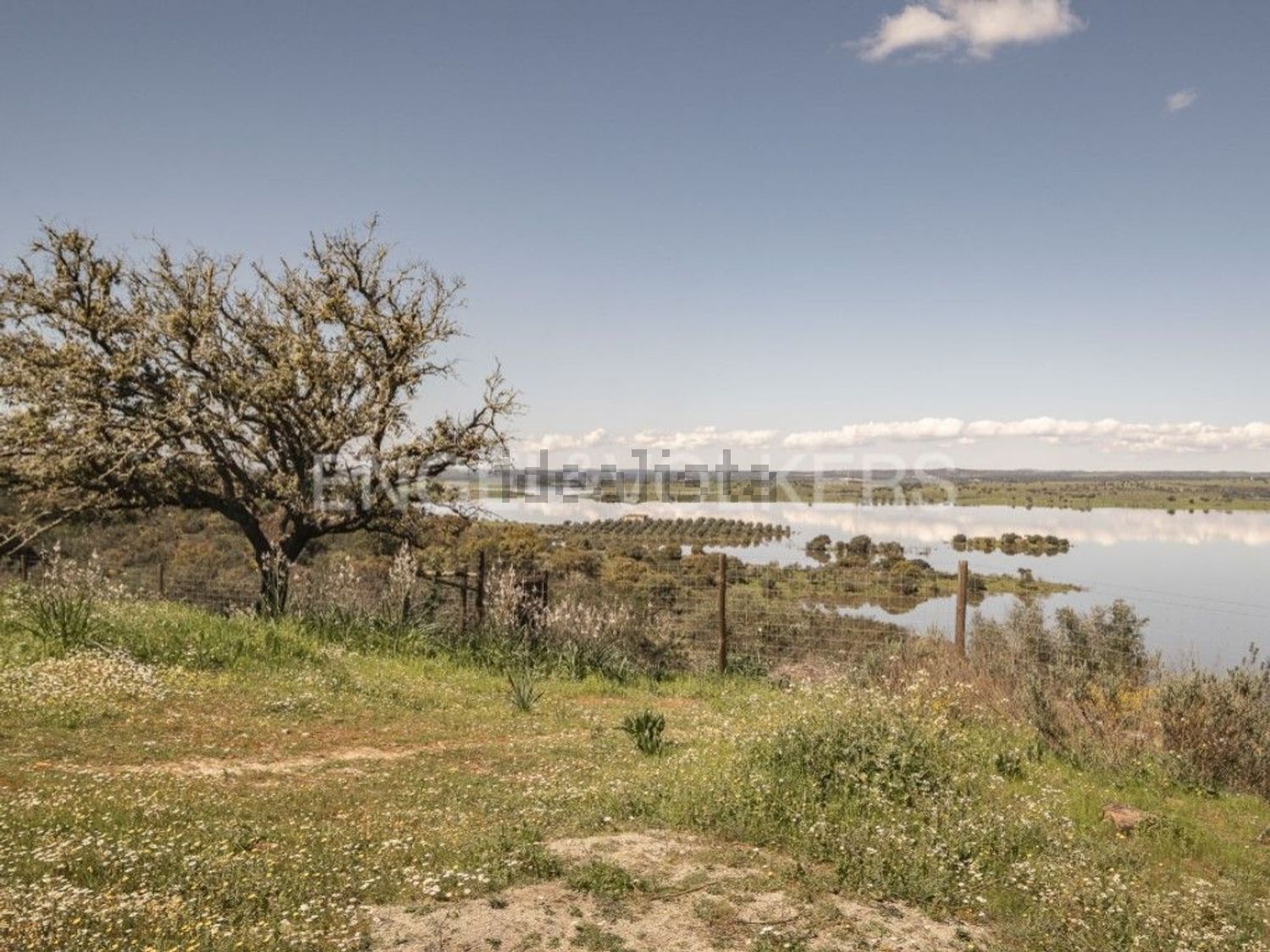 农庄出售在Caminho dos Albardeiros - 视线