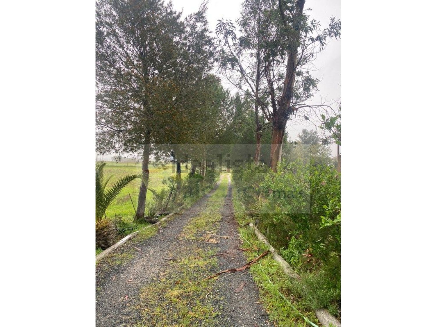 庄园出售Bc. do Carril - 花园
