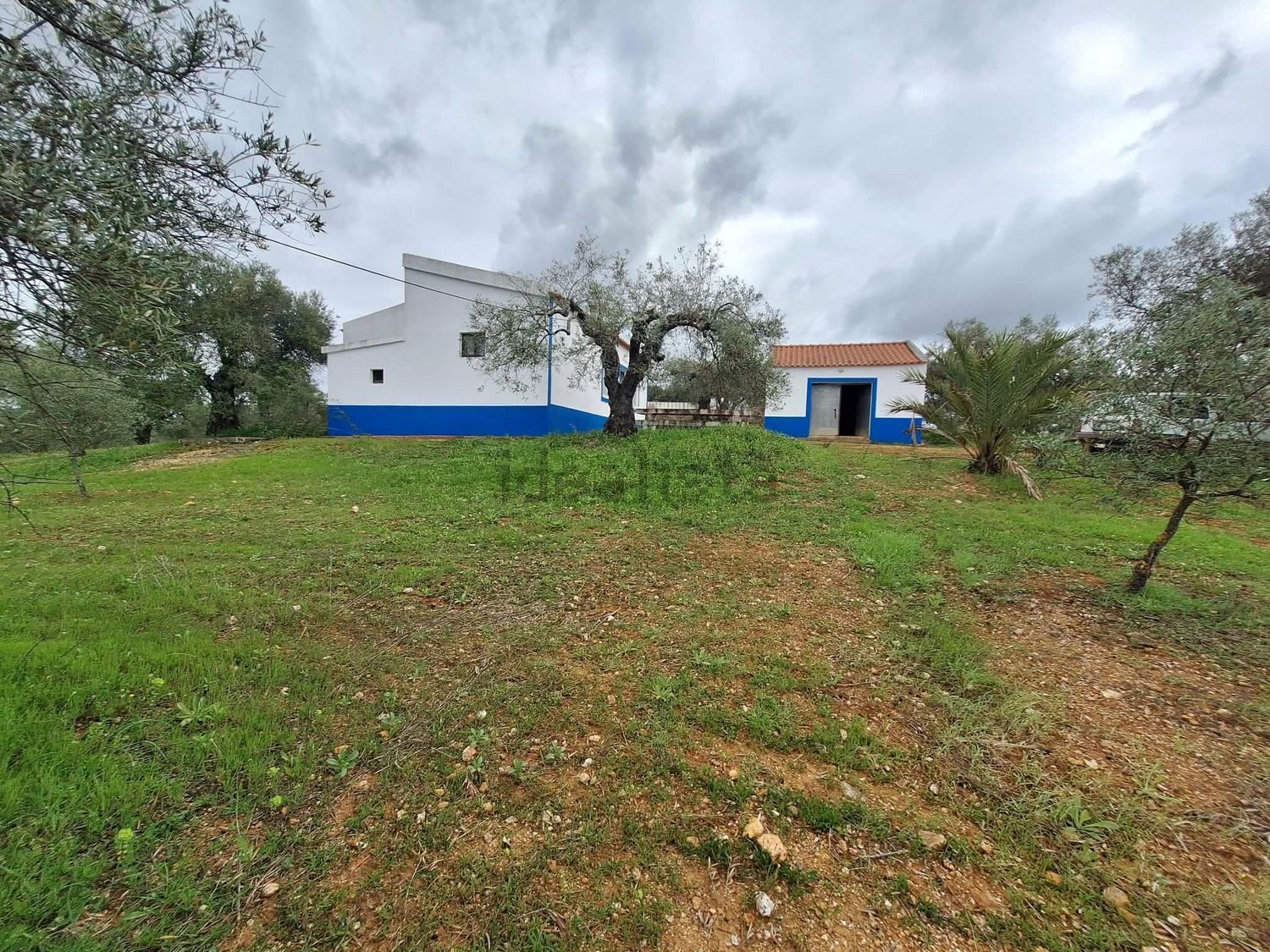 庄园出售在Vila Verde de Ficalho - 外立面