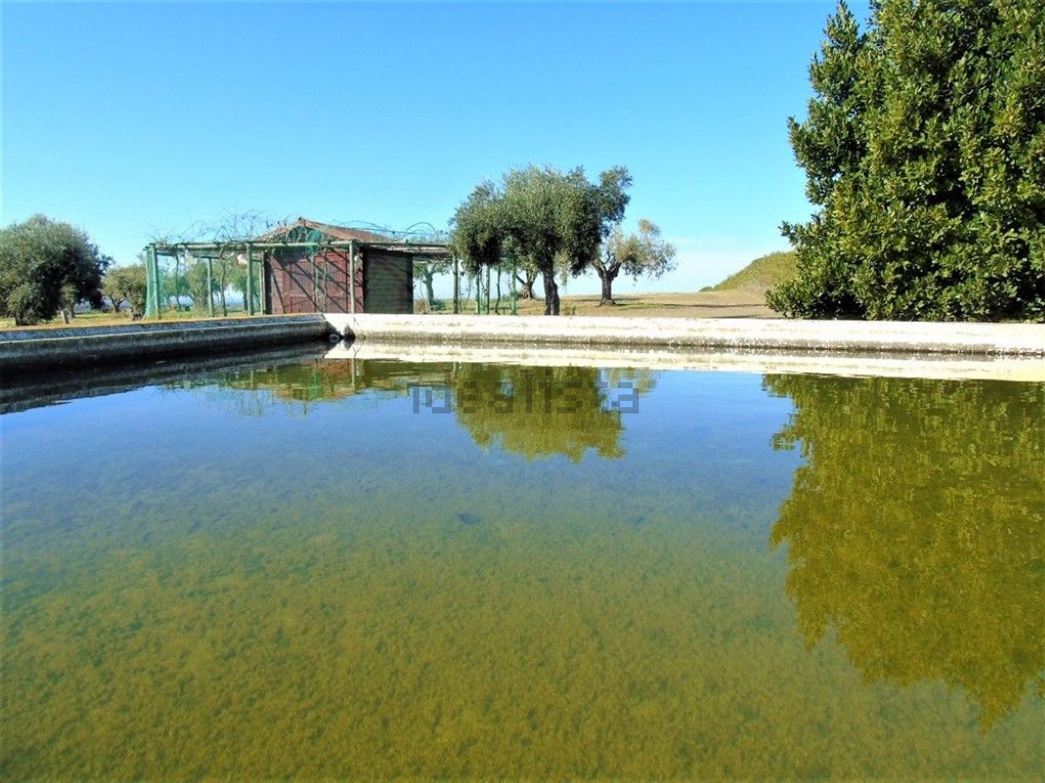 庄园出售在Ferreira do Alentejo - 视线