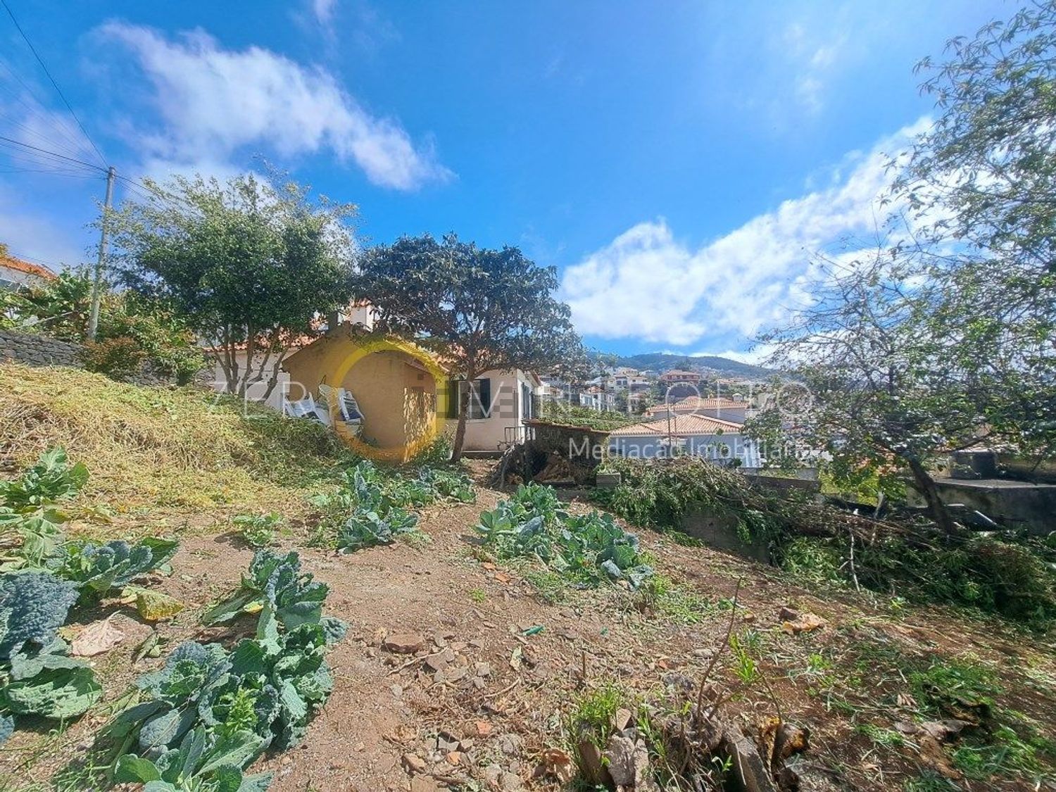 小楼房或独栋别墅出售在Beco da Quinta do Salvador - 花园