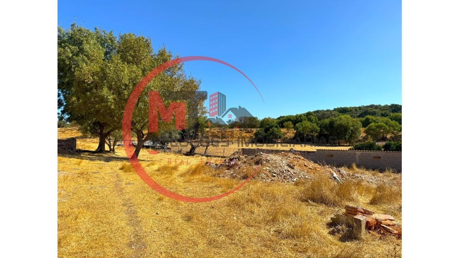 小楼房或别墅出售在Santa Maria e Santo André - 花园