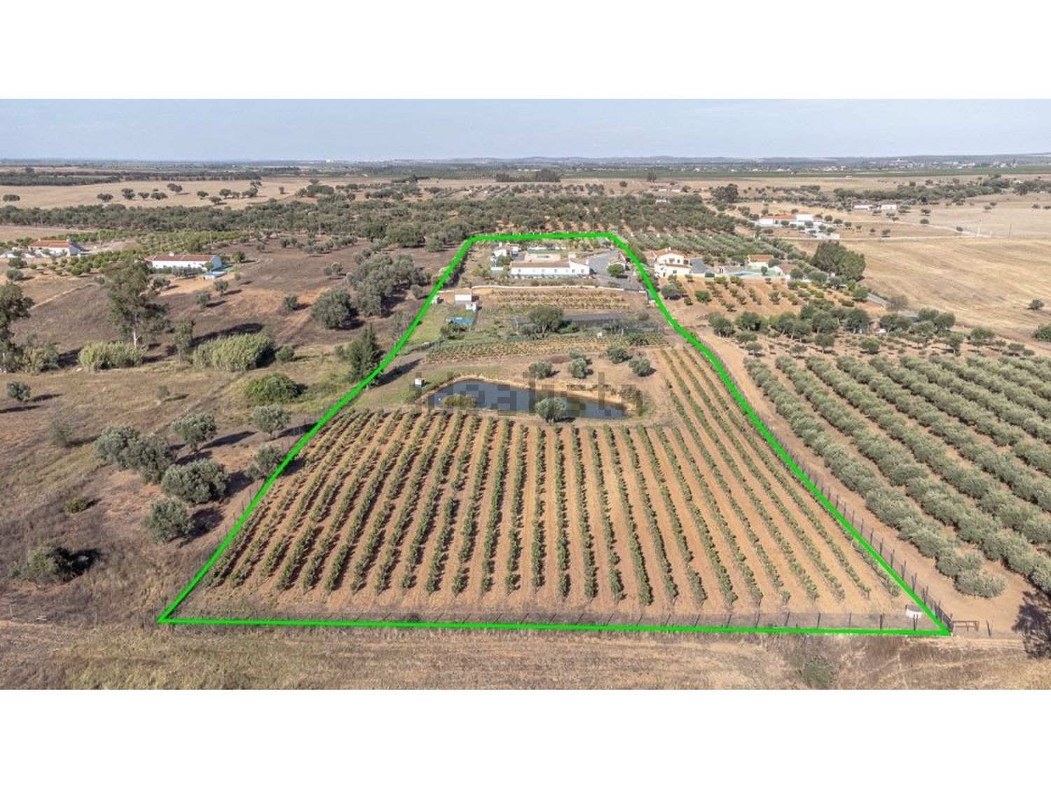 庄园出售在Ferreira do Alentejo - 照片