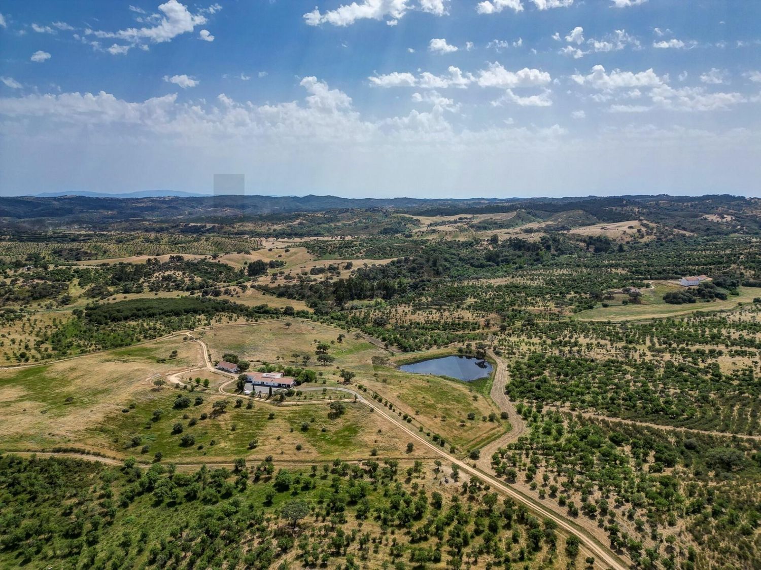 庄园出售在Rua dos Marmeleiros - 视线