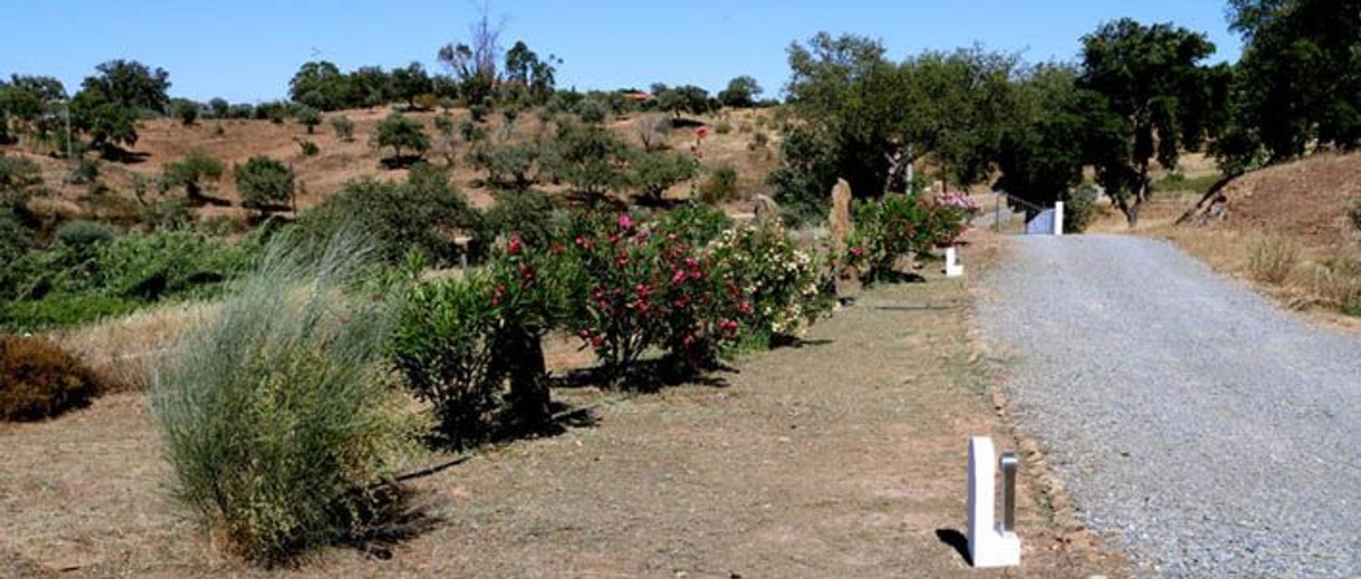 阿连特茹山出售在Estrada Monte Novo da Sobreira Sn - 花园