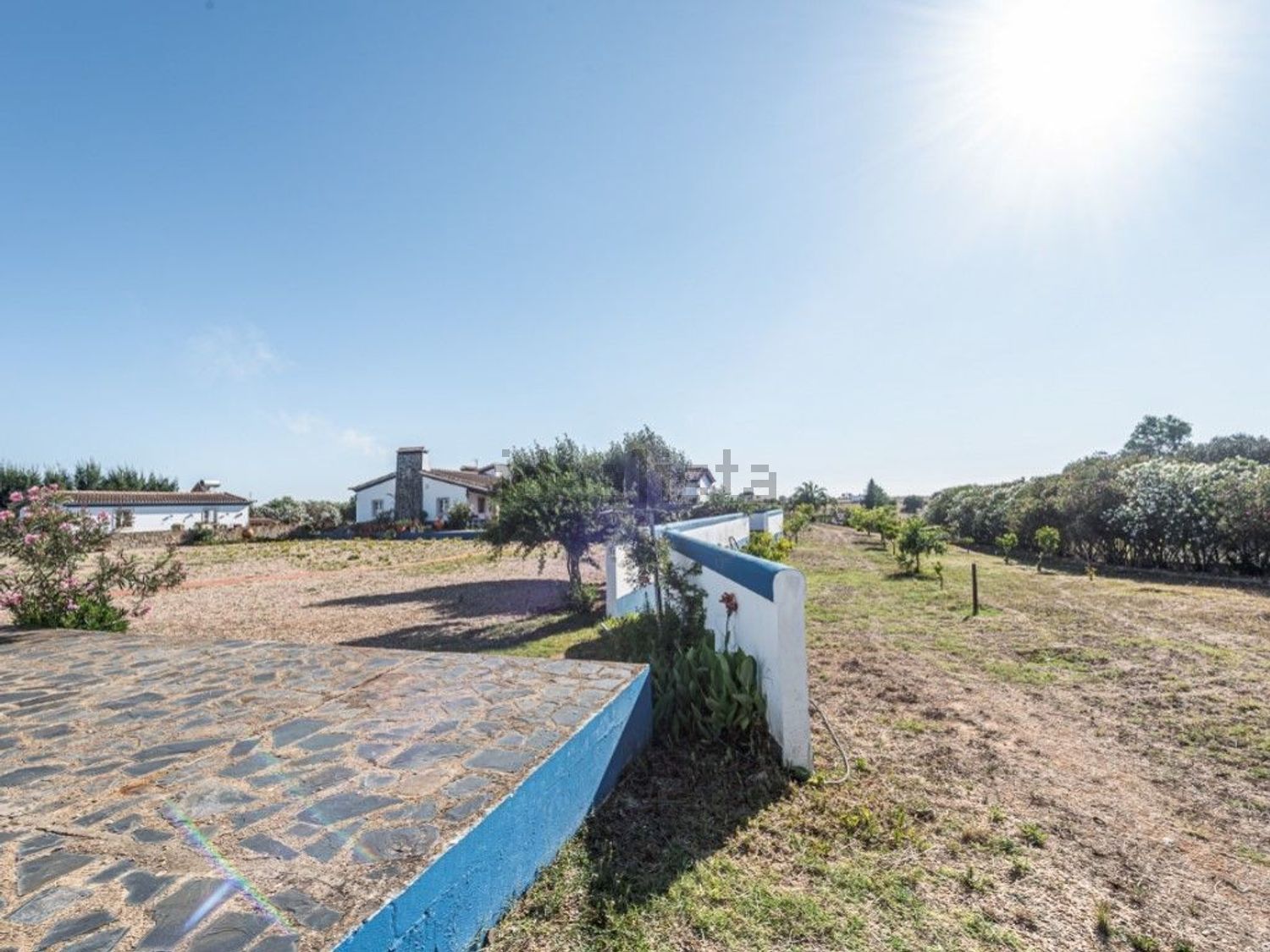 庄园出售在Ferreira do Alentejo - 花园
