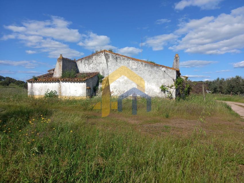庄园出售在Monforte