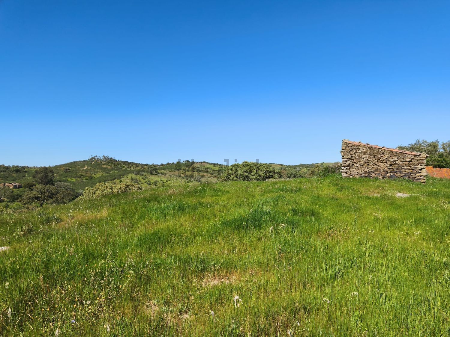 阿连特茹山出售Ourique, Portela de Lobo, Courela Casa Branca s/n - 视线