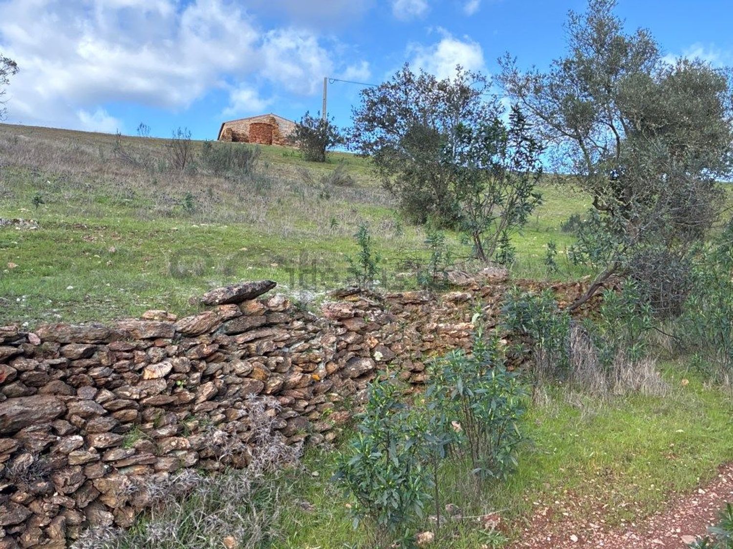 庄园出售在Estrada Sem Nome - 花园