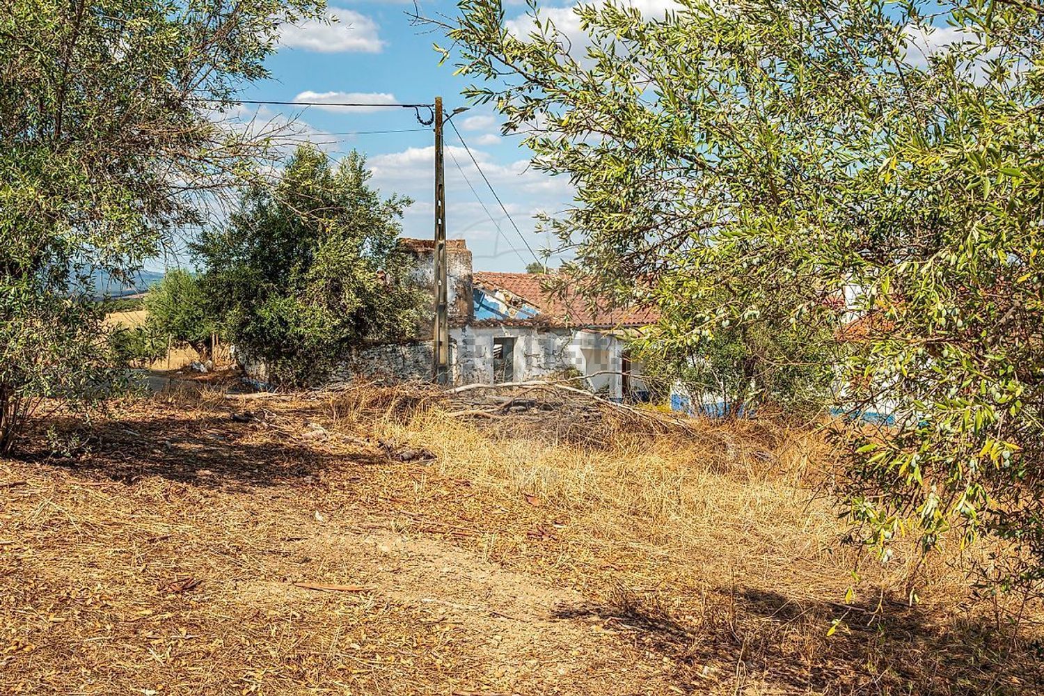 小楼房或独栋别墅出售在Santiago Maior - 花园