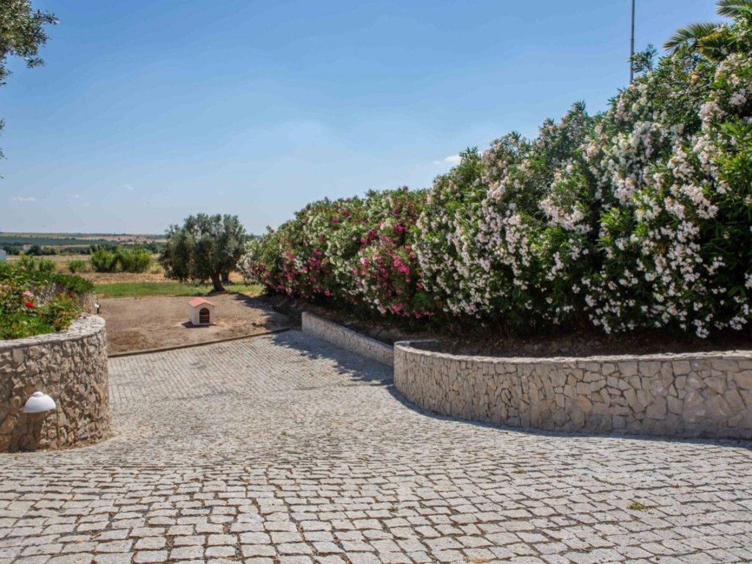 庄园出售在Ferreira do Alentejo - 花园