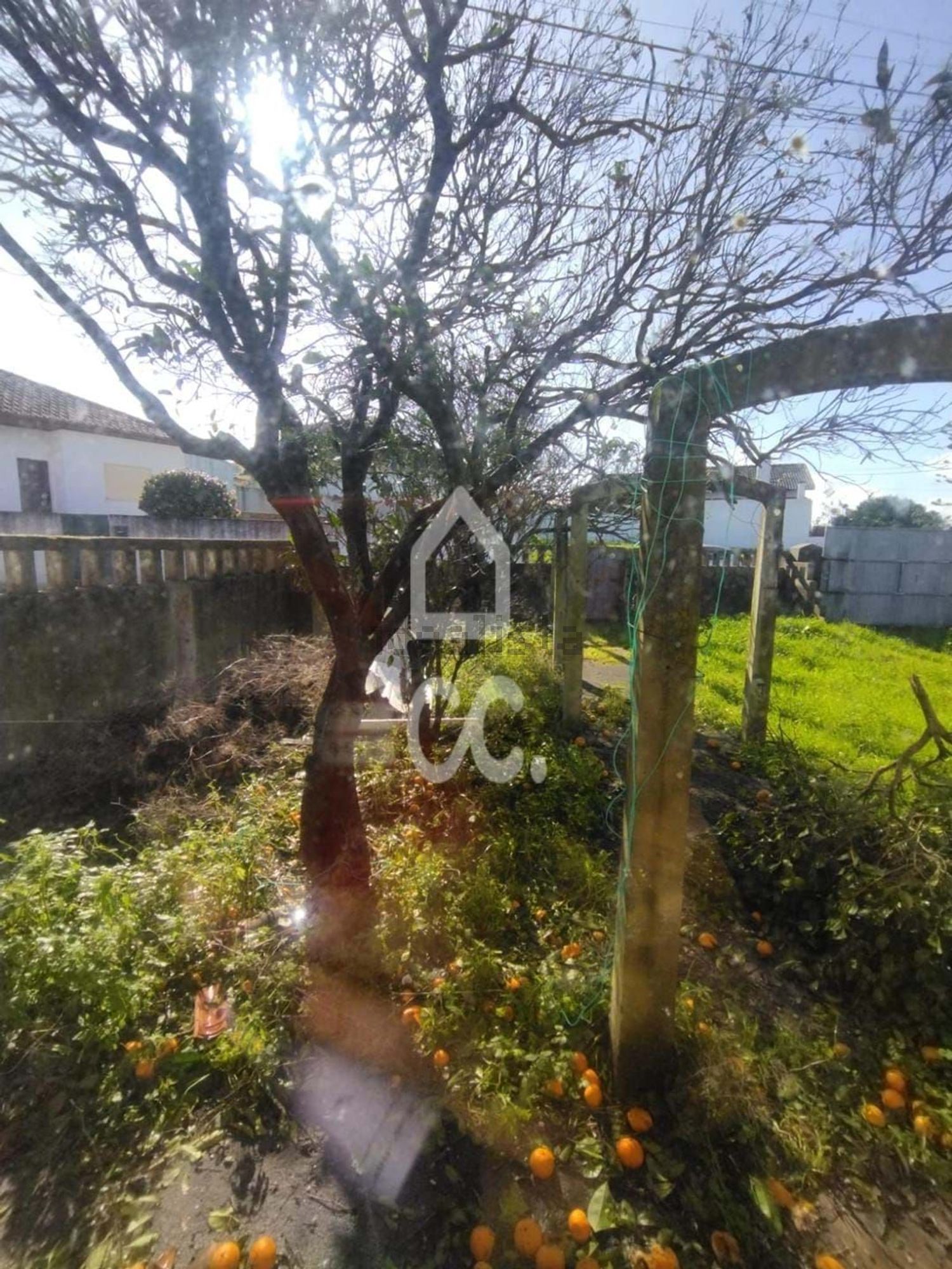 小楼房或独栋别墅出售在Vieira de Leiria - 花园