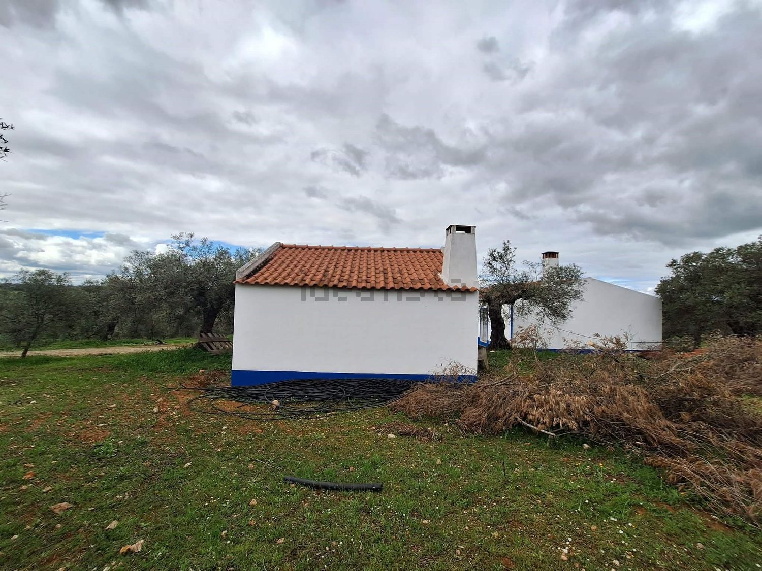 庄园出售在Vila Verde de Ficalho - 外立面