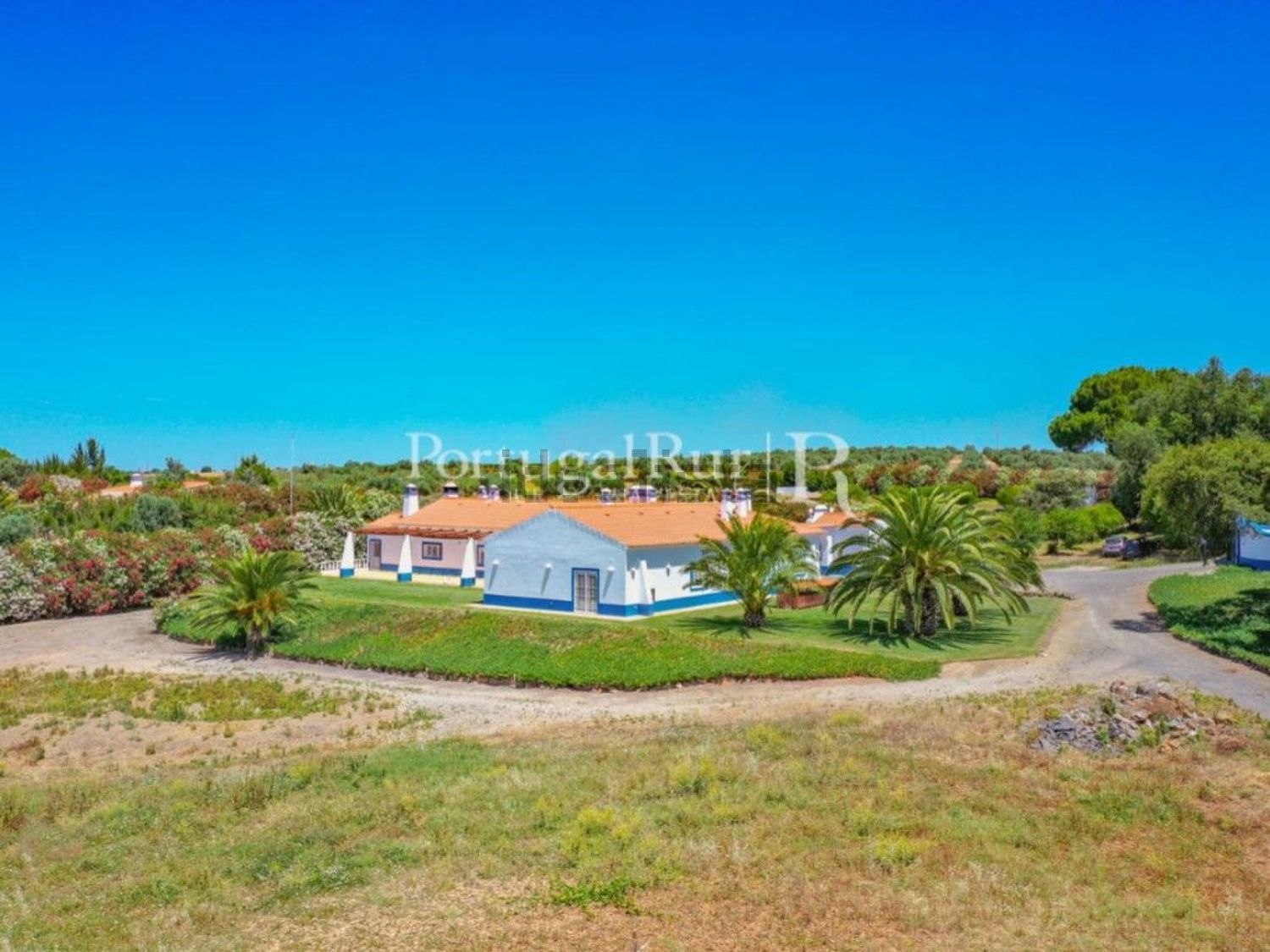 农庄出售在Ferreira do Alentejo - 照片