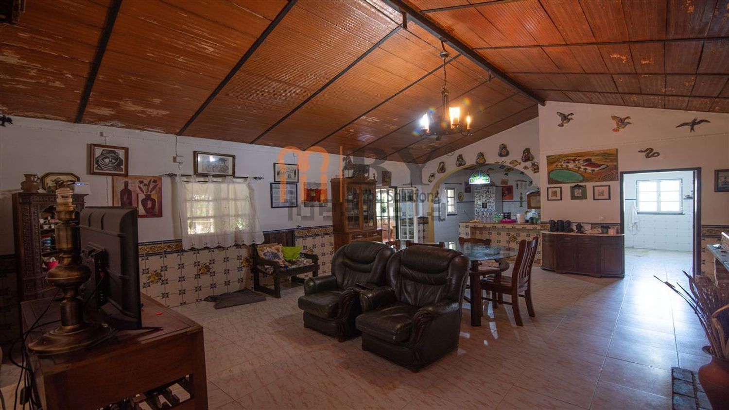 阿连特茹山出售Vila Verde de Ficalho - 客厅