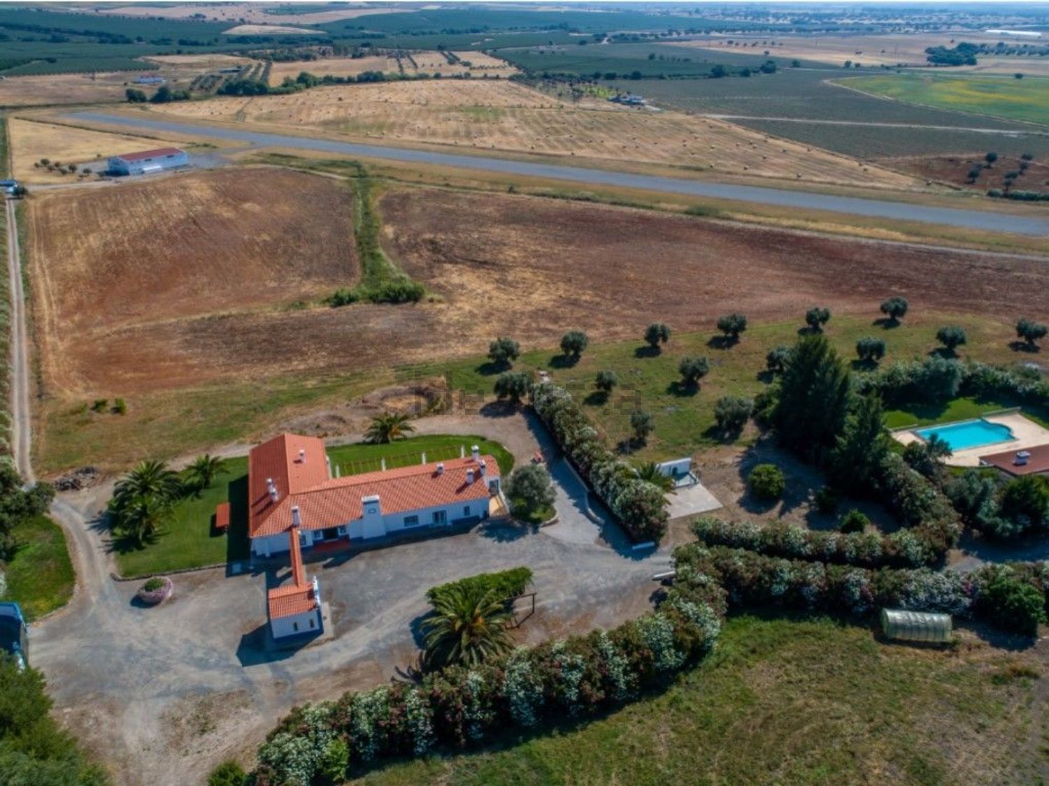 庄园出售在Ferreira do Alentejo - 视线