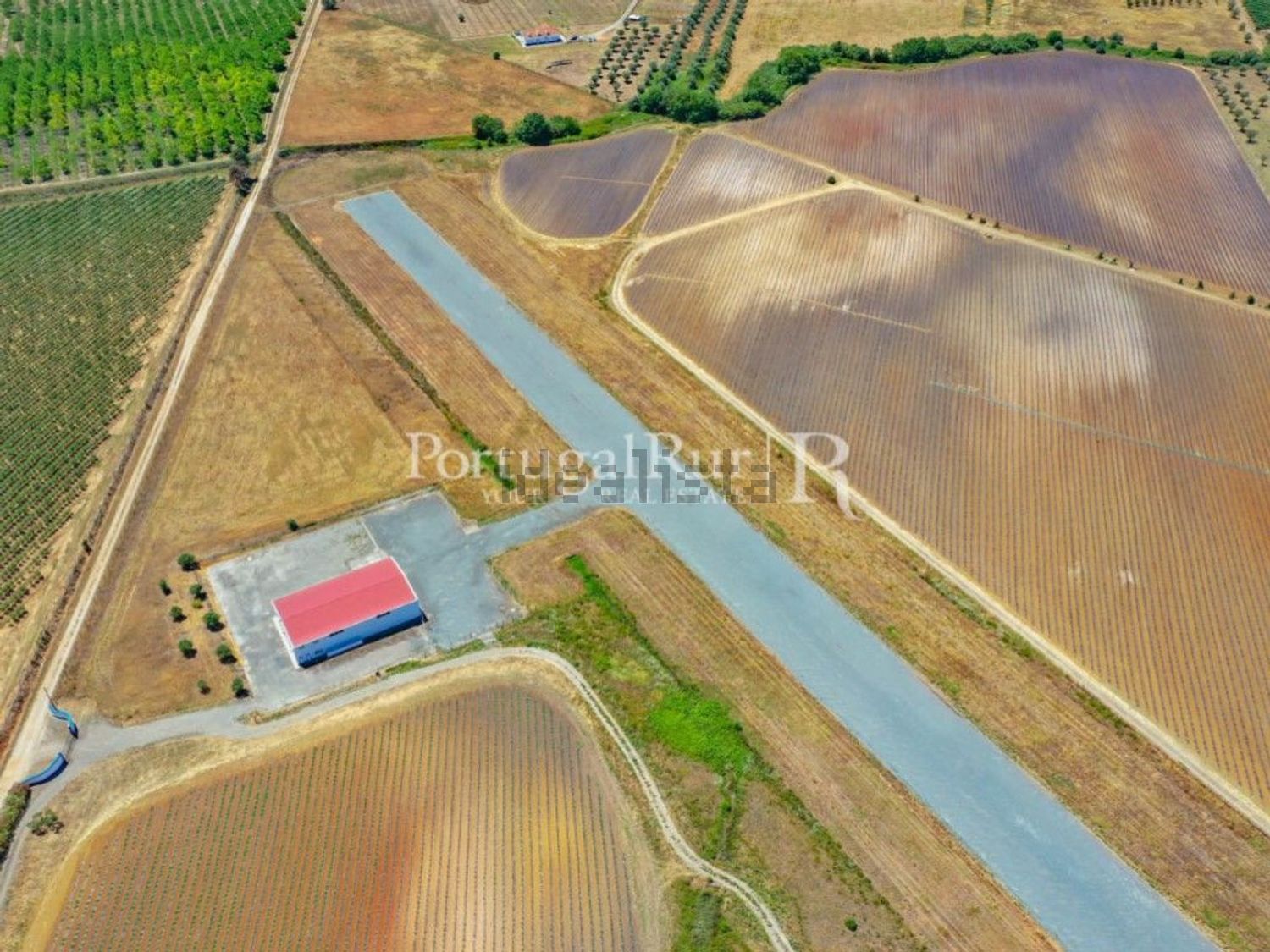 农庄出售在Ferreira do Alentejo - 照片