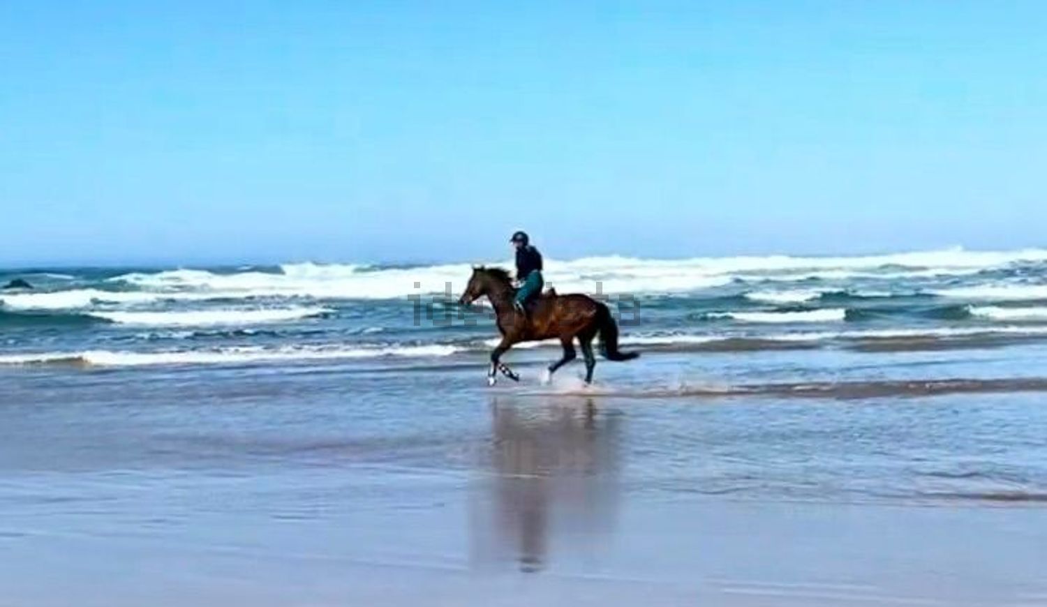 庄园出售Brejao, Portugal - 视线