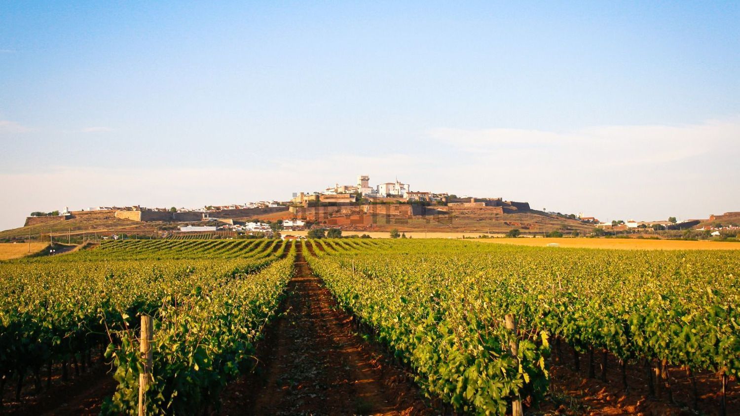 公寓 t2出售在Rua Brito Capelo - 周边