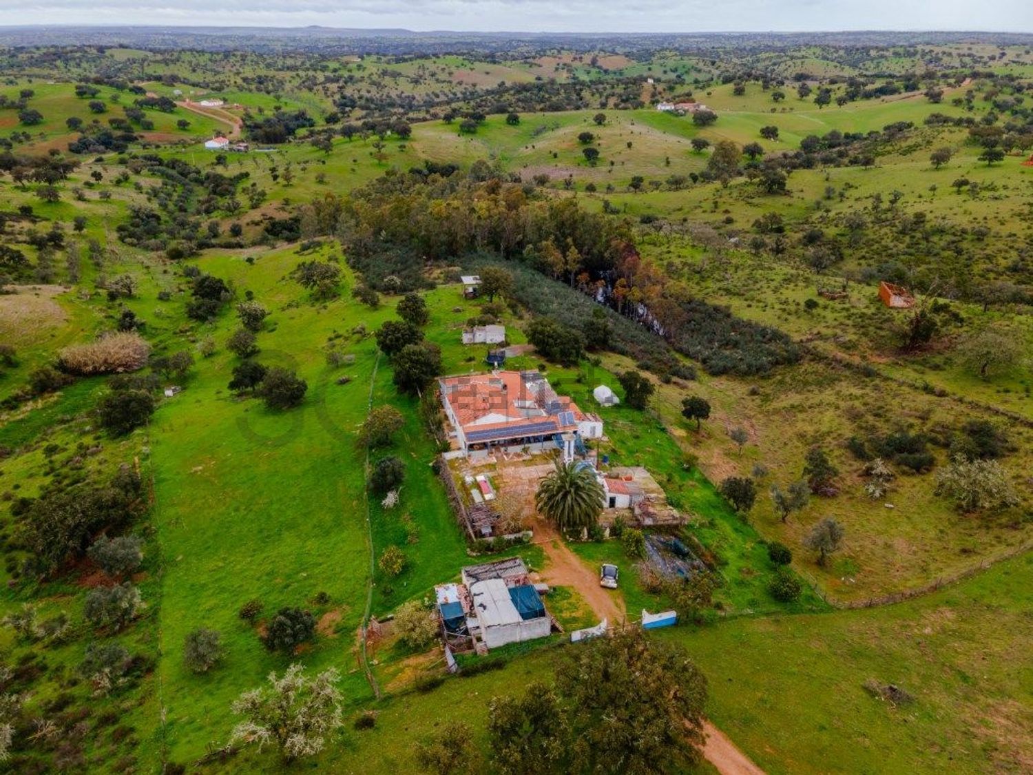 庄园出售在Serpa - 视线