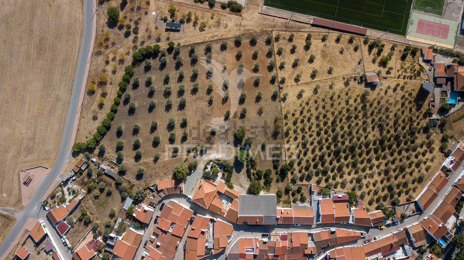 庄园出售在Rua da Carchana, 14 - 照片