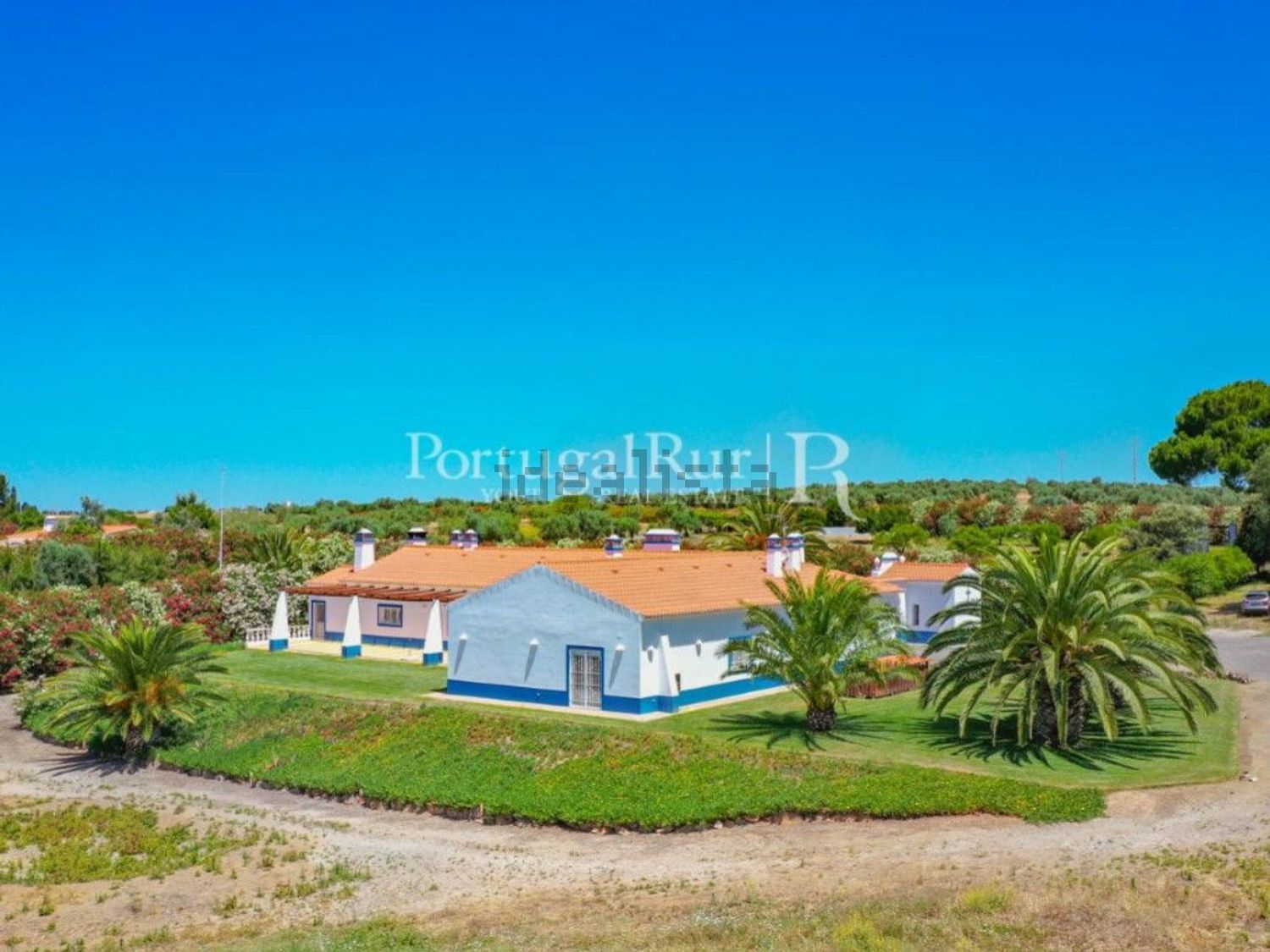 农庄出售在Ferreira do Alentejo - 外立面