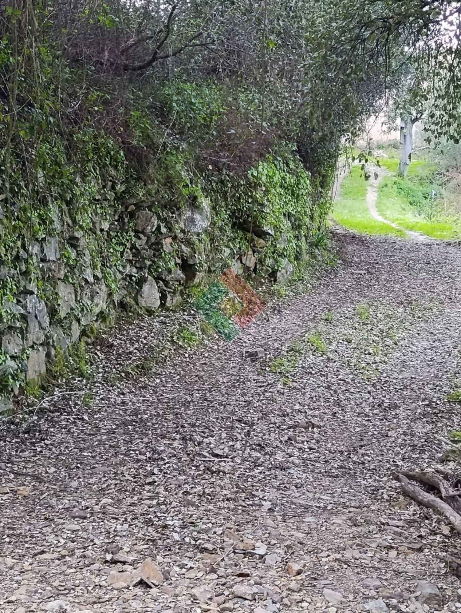 庄园出售在Reguengo e São Julião - 花园