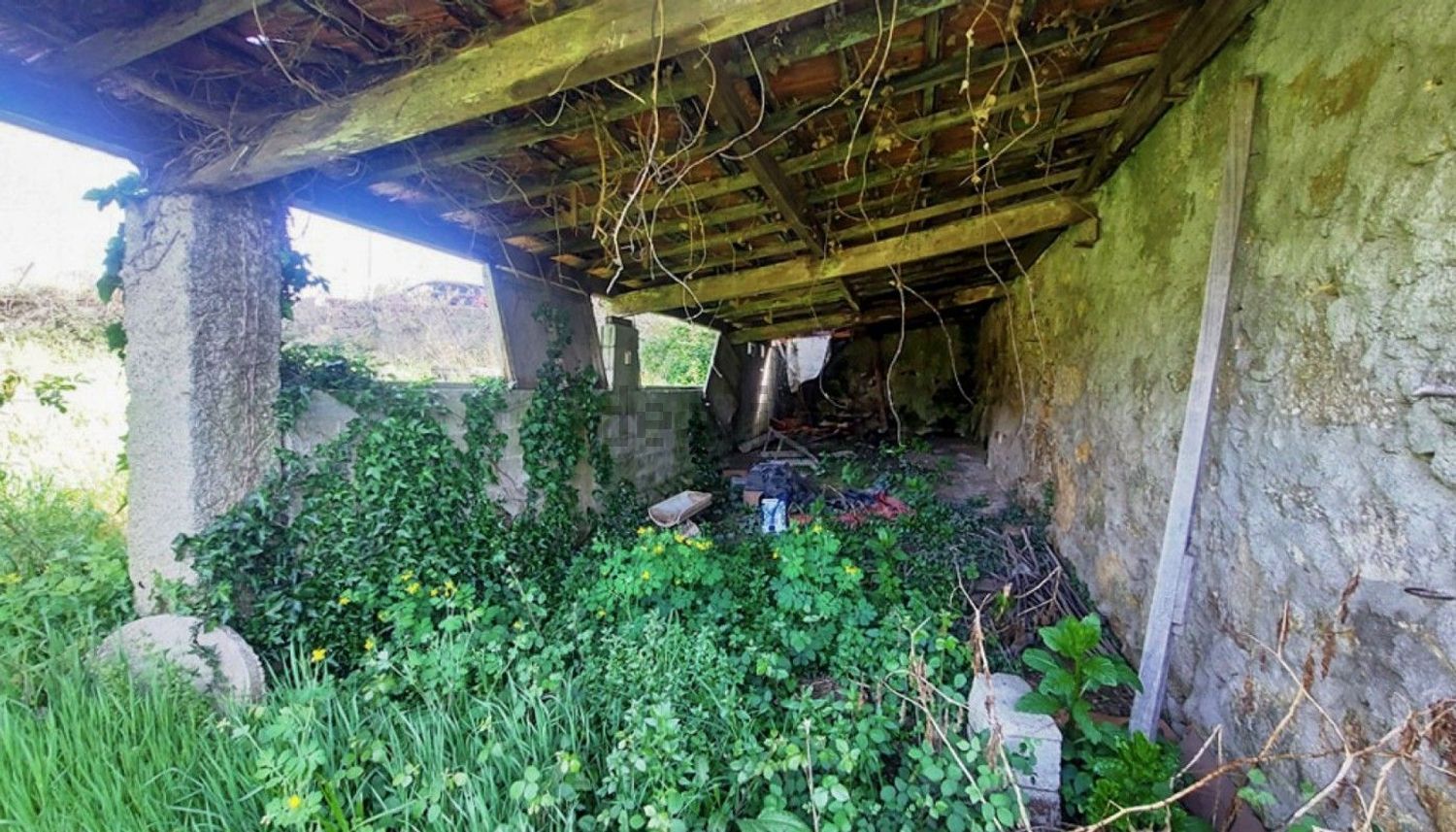 小楼房或别墅出售在Barroselas e Carvoeiro - 花园