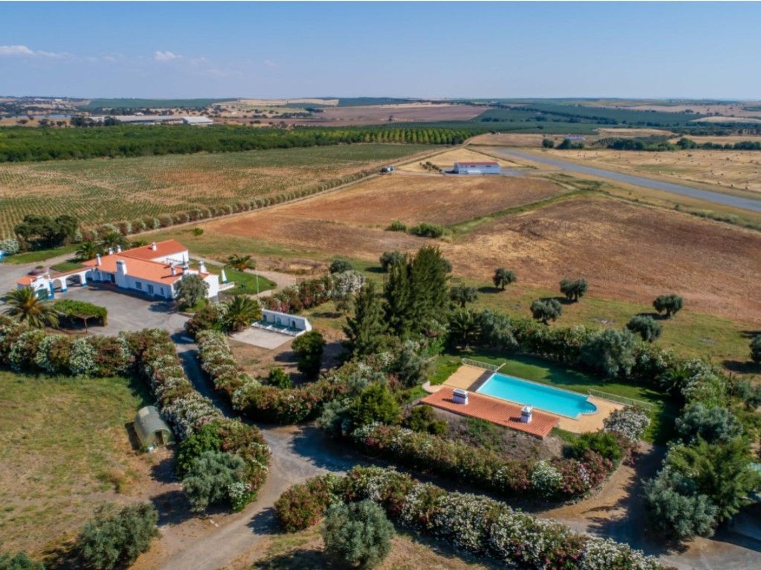 庄园出售在Ferreira do Alentejo - 视线