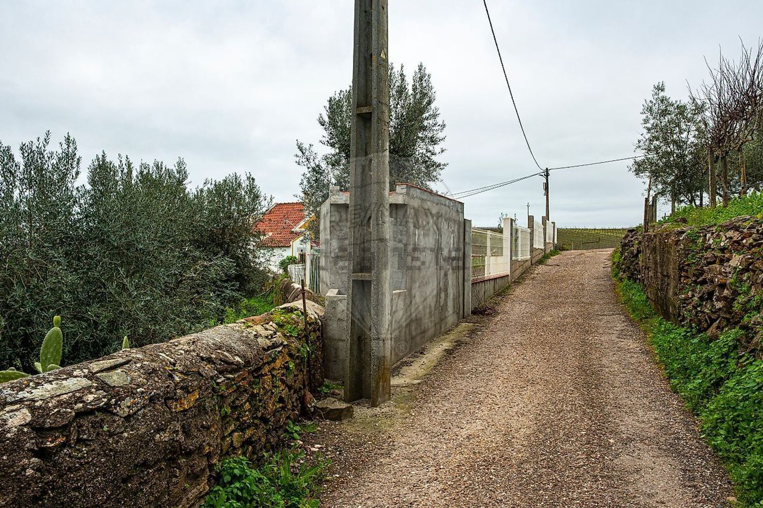 小楼房或独栋别墅出售Autoestrada do Alentejo - 花园