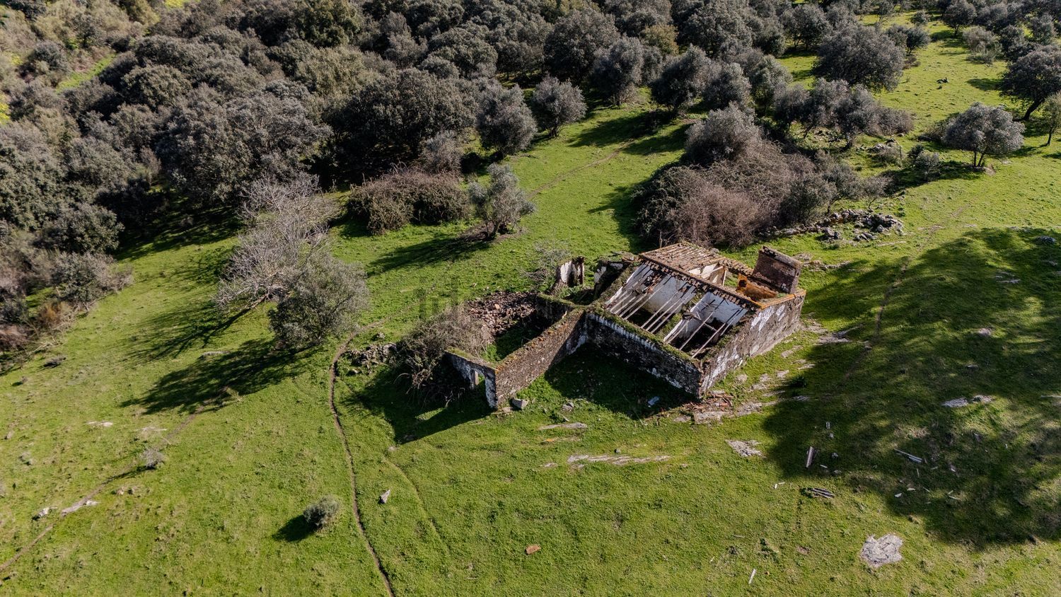 庄园出售Monte dos Lagartos, 7150-202, Matriz (Borba), Borba s/n - 照片