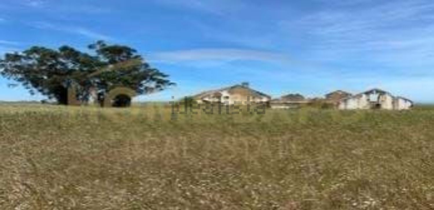 庄园出售Herdade Casa Branca s/n - 花园