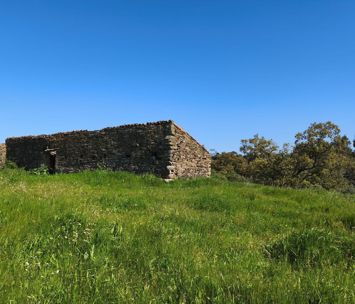 阿连特茹山出售Ourique, Portela de Lobo, Courela Casa Branca s/n - 详情