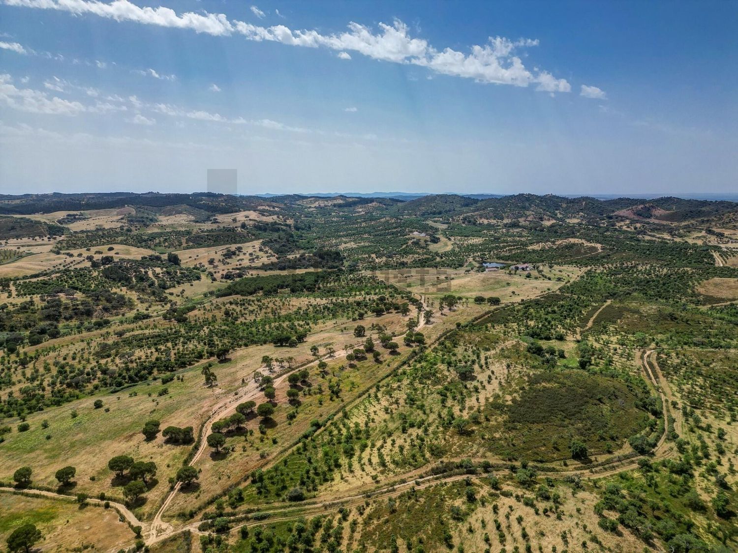 庄园出售在Rua dos Marmeleiros - 视线