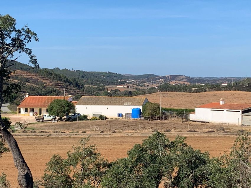 庄园出售Casinha João Ribeiras