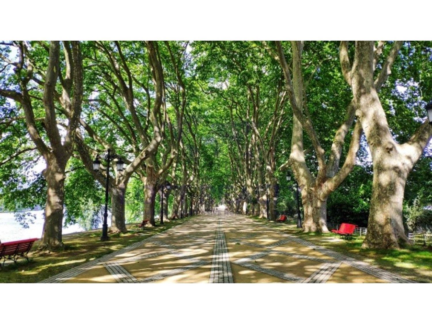 出租公寓 t3在Rua Agostinho José Taveira - 花园