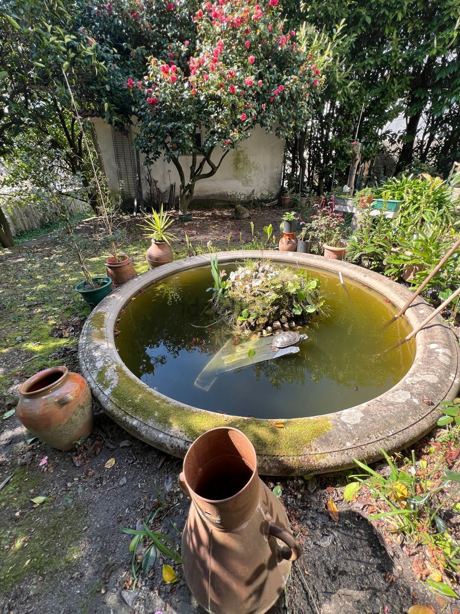 小楼房或独栋别墅出售在Vila Real - 照片