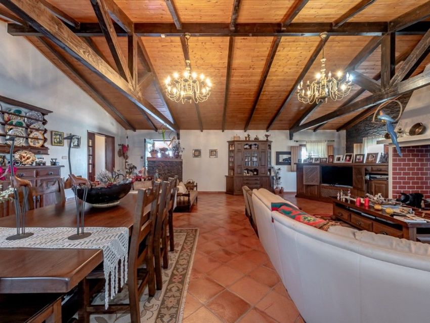 庄园出售在Ferreira do Alentejo